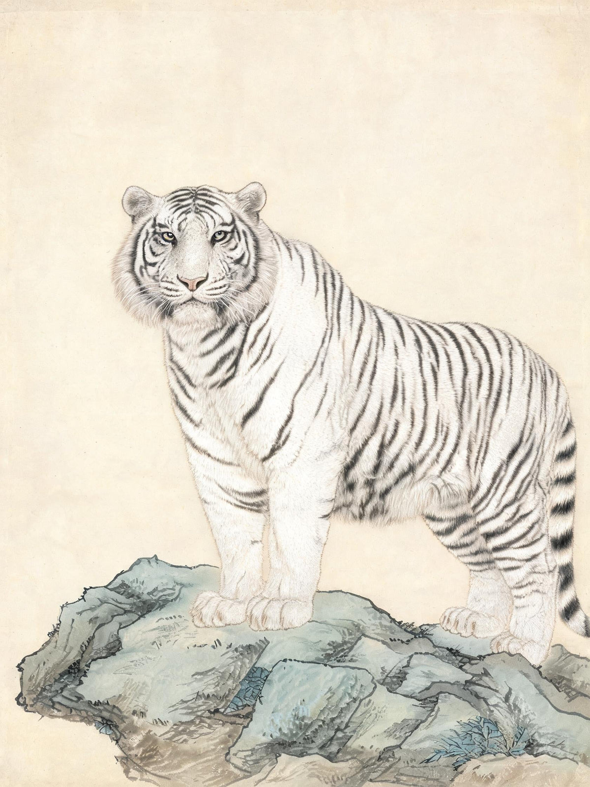 威猛瑞兽 - Master Tiger