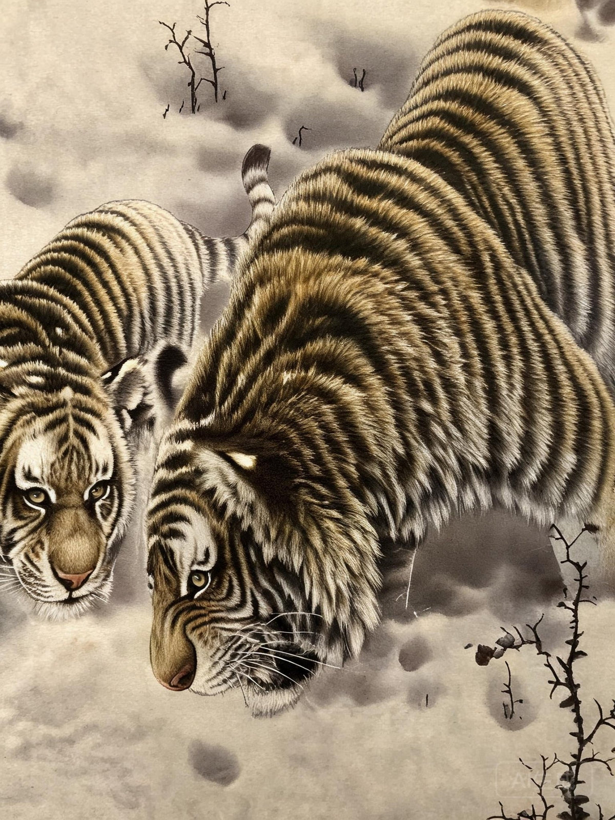 五福圖 - Master Tiger