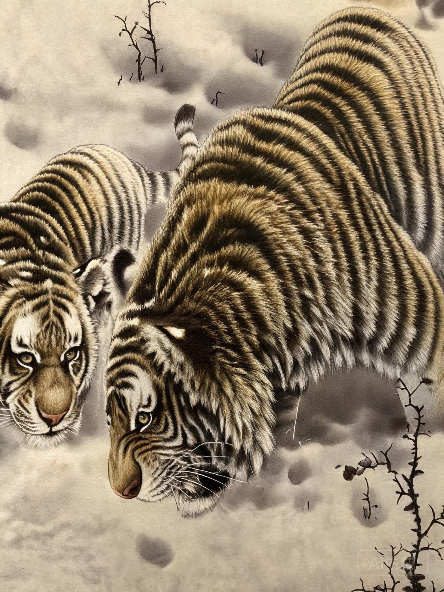 五福圖 - Master Tiger
